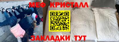 индика Дубна