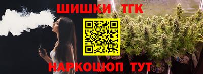 индика Дубна