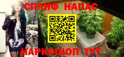 индика Дубна