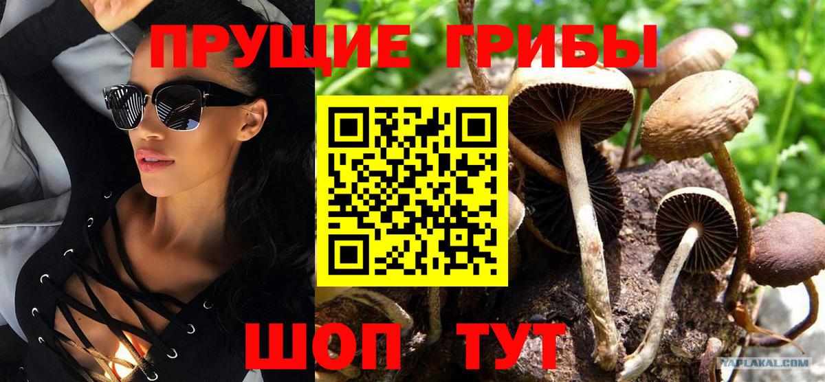 Галлюциногенные грибы MAGIC MUSHROOMS Мелеуз